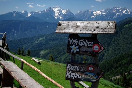 GOLICA: la montagna dei narcisi