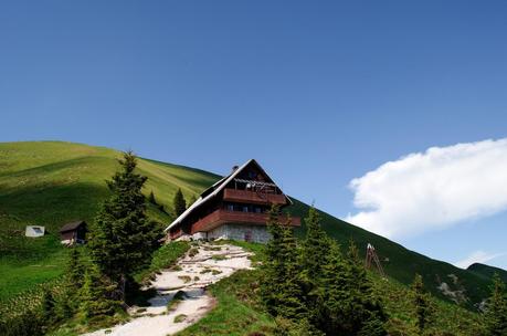 GOLICA: la montagna dei narcisi