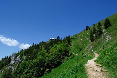 GOLICA: la montagna dei narcisi