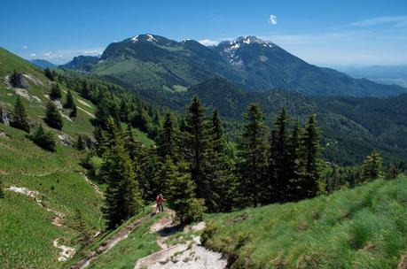 GOLICA: la montagna dei narcisi