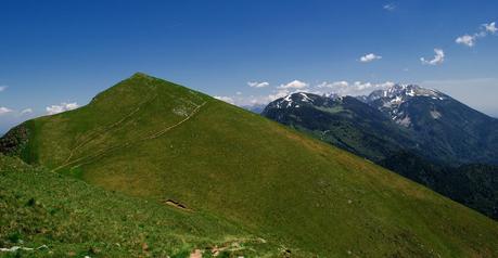 GOLICA: la montagna dei narcisi