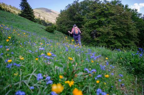 GOLICA: la montagna dei narcisi