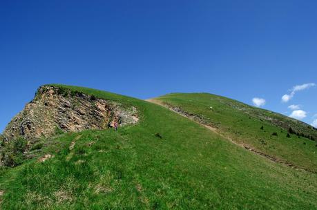 GOLICA: la montagna dei narcisi