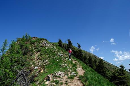 GOLICA: la montagna dei narcisi