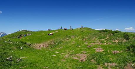 GOLICA: la montagna dei narcisi