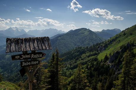 GOLICA: la montagna dei narcisi