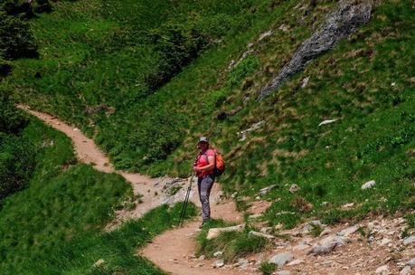 GOLICA: la montagna dei narcisi