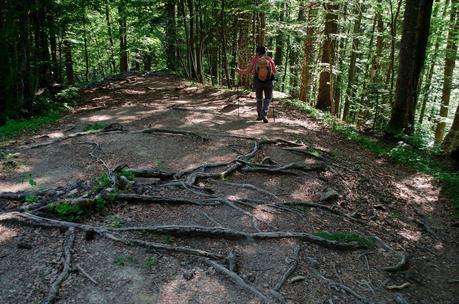 GOLICA: la montagna dei narcisi