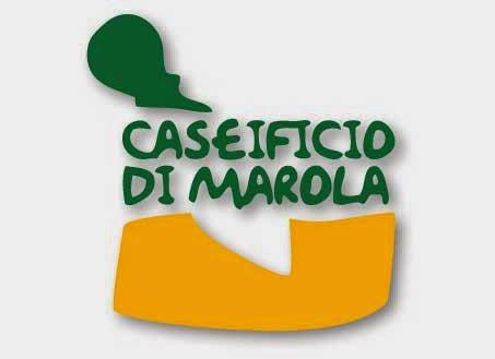 Sfoglia con zucchine e Parmigiano del Caseificio di Marola Sfoglia con zucchine e Parmigiano del Caseificio di Marola