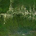 Deforestazione della Foresta Amazzonica, Brasile