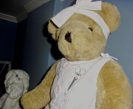 Teddy Bear nella mia casa