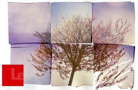 12 luglio: IMPOSSIBLE FILM AND CREATIVITY @ NIKON SCHOOL 12 luglio: IMPOSSIBLE FILM AND CREATIVITY @ NIKON SCHOOL