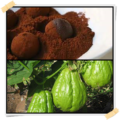 Dolci Dukan: ricetta dei tartufi di zucchine e cioccolato (fase di crociera, giorni PV)