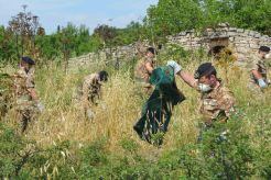 Bari, Alta Murgia/ Settimo Bersaglieri. Esercito per l’Ambiente: ancora una EcoDay per la bonifica del Parco dell’Alta Murgia