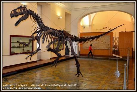 Scheletro di dinosauro Scheletro di dinosauro