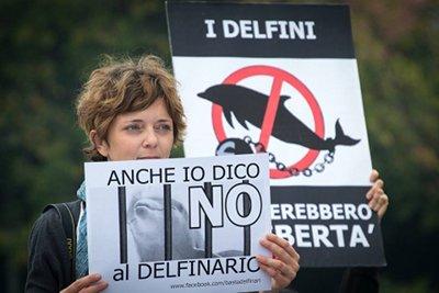 Domani manifestazione contro il delfinario di Rimini