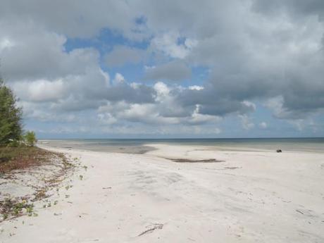 Isola di Mafia, Tanzania