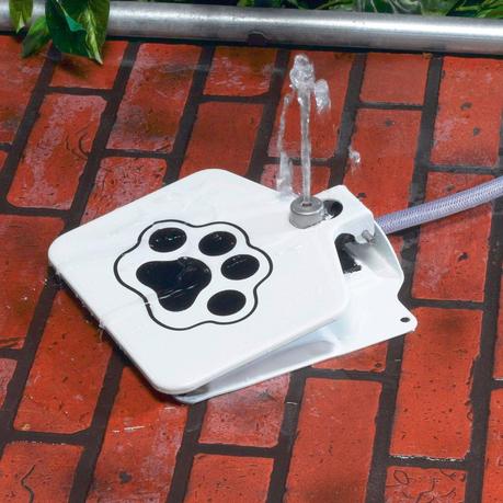 Dog Push Pedal Water Fountain Dog Fountain 3