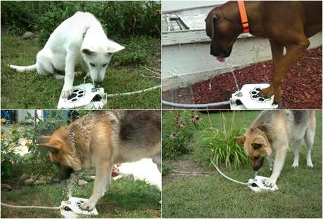 Dog Push Pedal Water Fountain Dog Fountain 2
