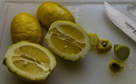 Detersivo di limoni (Lemon dishwasher) DIY
