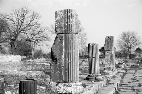 In giro per l’Italia: Saepinum-Altilia In giro per l’Italia: Saepinum-Altilia