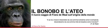 bonobo_e_ateo (2)