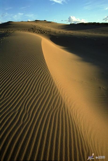 Sulle dune di sabbia di Tottori