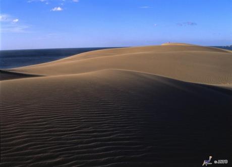 Sulle dune di sabbia di Tottori