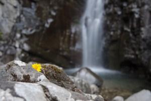 Fare trekking nelle terre di Lunigiana - Cascata Farfarà