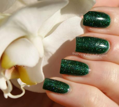 [Holothon 2.0]#2 Picture Polish Kryptonite