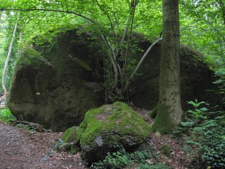 Anello del Monte Monarco, con salita a Punta Crocino.