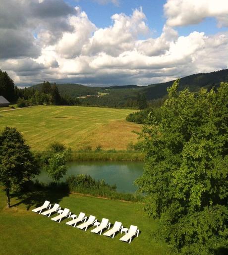 Bayerischerwald fra natura, benessere e buon cibo (anche glutenfree) Bayerischerwald fra natura, benessere e buon cibo (anche glutenfree)