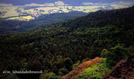 Bayerischerwald fra natura, benessere e buon cibo (anche glutenfree) Bayerischerwald fra natura, benessere e buon cibo (anche glutenfree)