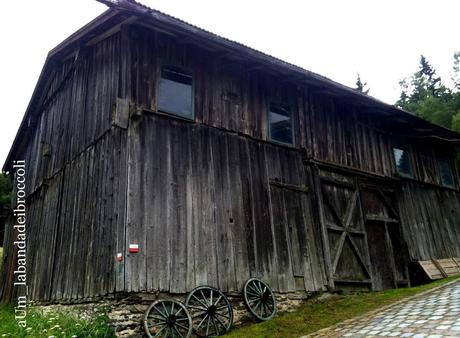 Bayerischerwald fra natura, benessere e buon cibo (anche glutenfree) Bayerischerwald fra natura, benessere e buon cibo (anche glutenfree)
