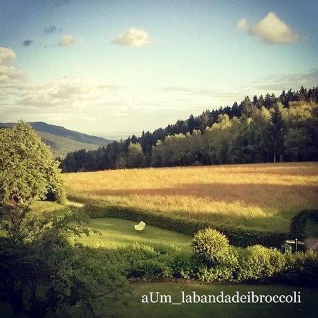 Bayerischerwald fra natura, benessere e buon cibo (anche glutenfree) Bayerischerwald fra natura, benessere e buon cibo (anche glutenfree)