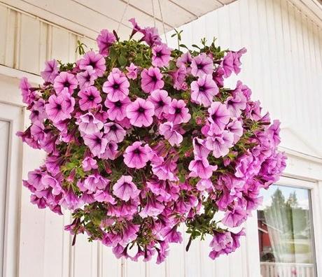 mmfrusjoakersperler.blogsp4 mmfrusjoakersperler.blogsp4