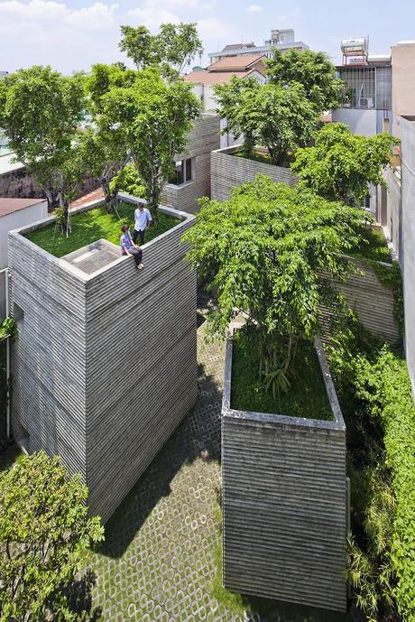 La casa della settimana: House for trees