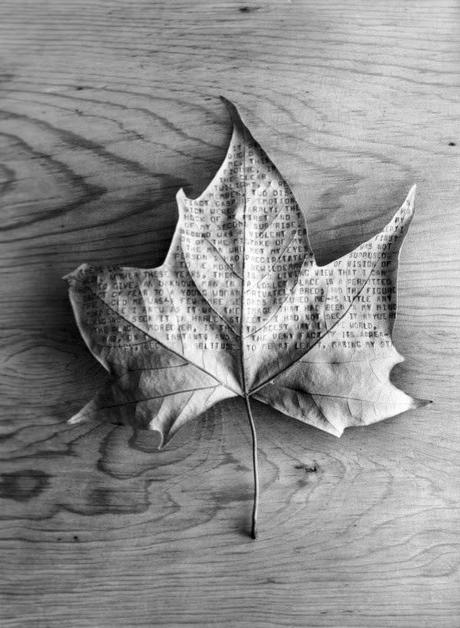 Un occhio su Chema Madoz Un occhio su Chema Madoz