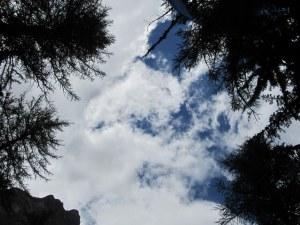 Celtica 2014 – il magico risveglio del bosco di Peuterey Il cielo