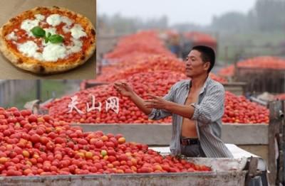 ALLARME PIZZA – Pomodori cinesi e prodotti non italiani ALLARME PIZZA-POMODORI CINESI