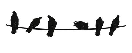 Appendiabiti Birds on Wire Birds on Wire 1