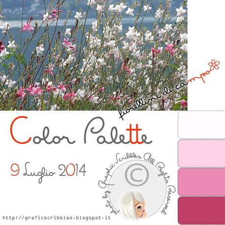 Fiorellini di campo - Color Palette of 9 Luglio 2014