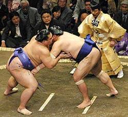 sumo Sumo