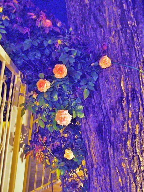 A mezzanotte a casa di Lorena e Antonio... A mezzanotte a casa di Lorena e Antonio...