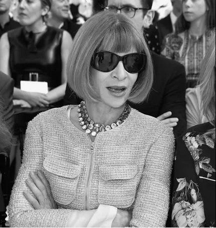 anna wintor dior