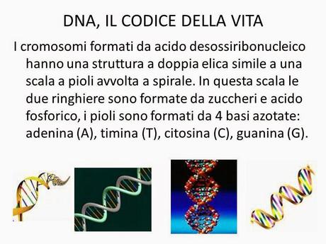 DNA