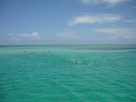 Snorkeling - Belize in barca a vela