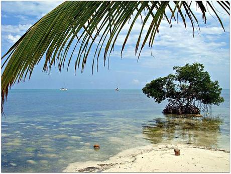 Caye Caulker - Belize in barca a vela