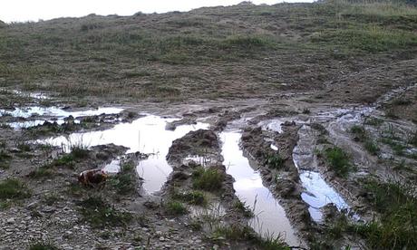 Cluj Napoca - Faget con MTB (Romania)