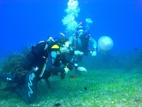 Luoghi per fare immersioni in Italia: Elba